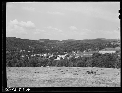 Stacking hay with a drop rake near Springfield, Vermont