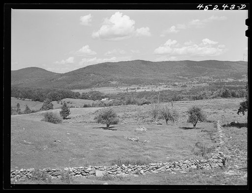 Landscape and stone fence near Weston, Vermont