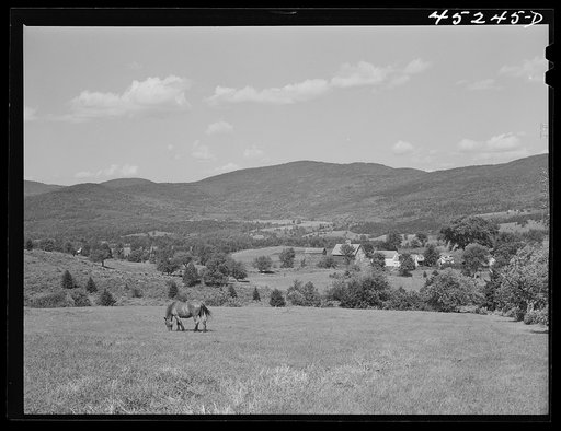 Untitled photo, possibly related to: Landscape near South Londonderry, Vermont