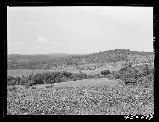Farm landscape near Springfield, Vermont
