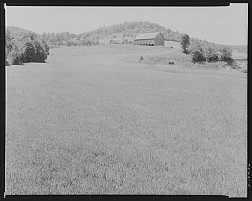 Farm near Weston, Vermont