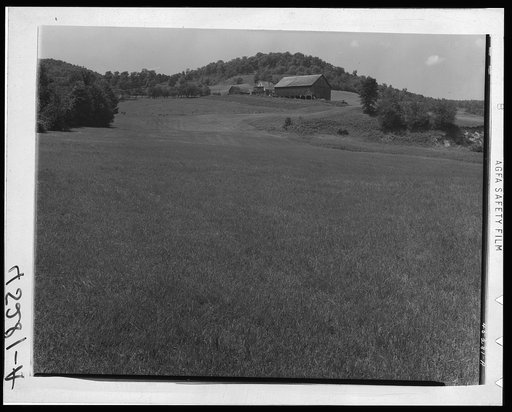Farm near Weston, Vermont
