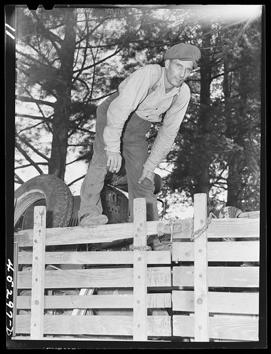 Mr. Fred Longamore helping his brother move out of the Pine Camp expansion area to a new farm fifty-six miles away. Mr. Longamore's own farm is also in the area. Near Pine Camp, New York