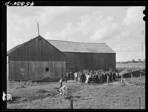 The Pine Camp military area near Watertown, New York, which was expanded under FSA (Farm Security Administration) supervision. Auctioning off a dairy herd on the Ingalls farm near Antwerp, New York