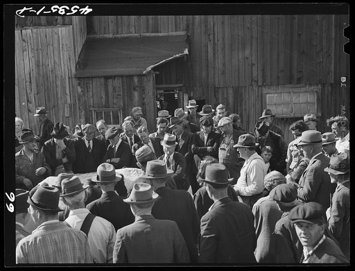 Auctioning off a dairy herd on the Ingalls farm in the Pine Camp expansion area. Near Antwerp, New York