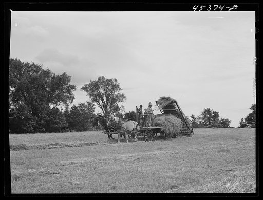Loading hay on a farm near Rutland, Vermont