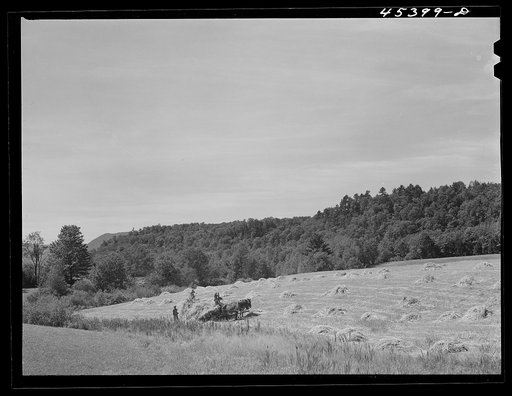 Harvesting hay near Brandon, Vermont