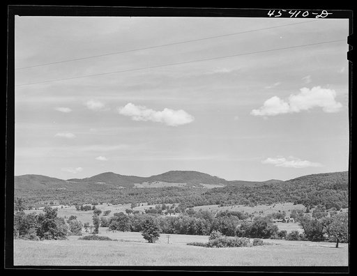 Gathering hay on a dairy farm near Brandon, Vermont