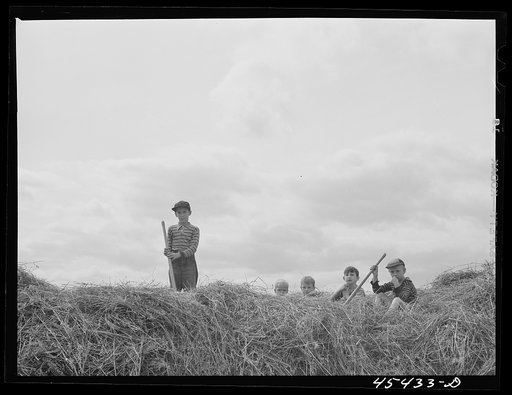 Dairy farmer's children on a hay stack near Castleton, Vermont