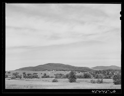 General view of the county near Brandon, Vermont
