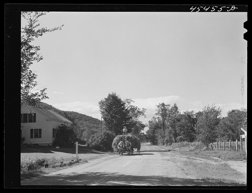 Carting a load of hay along a road near Brandon, Vermont