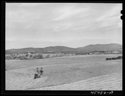 Cutting hay near Pittsford, Vermont