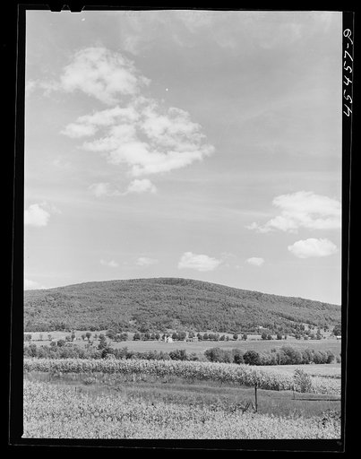 Untitled photo, possibly related to: View of the county near Brandon, Vermont