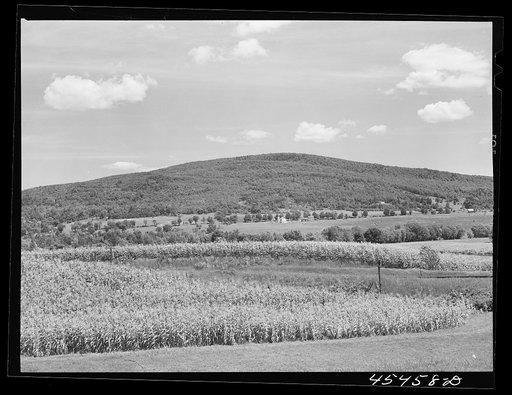 View of the county near Brandon, Vermont