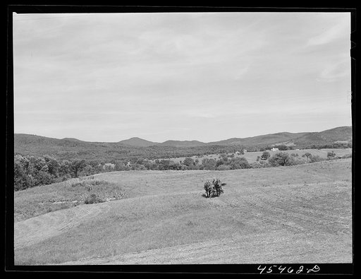 Untitled photo, possibly related to: Cutting hay near Pittsford, Vermont