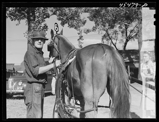 An entrant in the sulky races at the Rutland Fair, Vermont