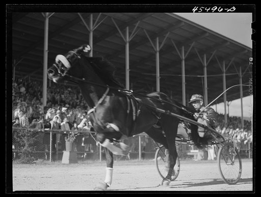 Rutland, Vermont. Sulky races at the Rutland Fair