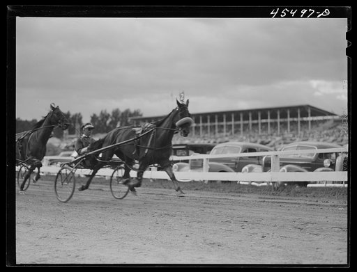 Untitled photo, possibly related to: The sulky races at the Rutland Fair, Vermont