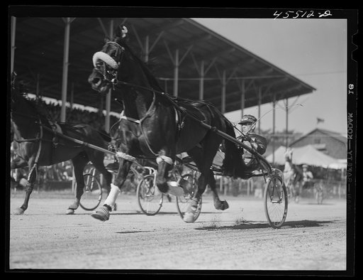 The sulky races at the Rutland Fair, Vermont