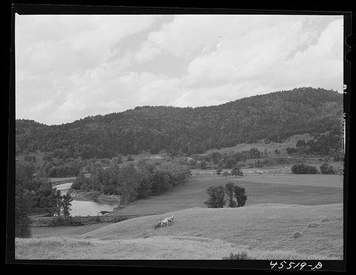 Untitled photo, possibly related to: Gathering hay in a field near Cambridge, Vermont