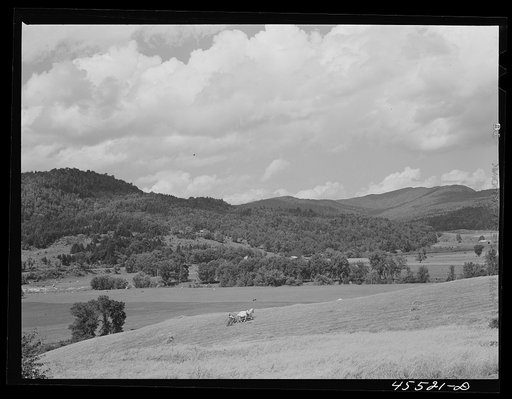 Untitled photo, possibly related to: Gathering hay in a field near Cambridge, Vermont
