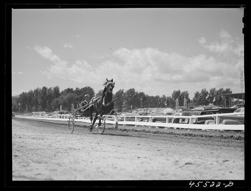 The sulky races at the Rutland Fair, Vermont