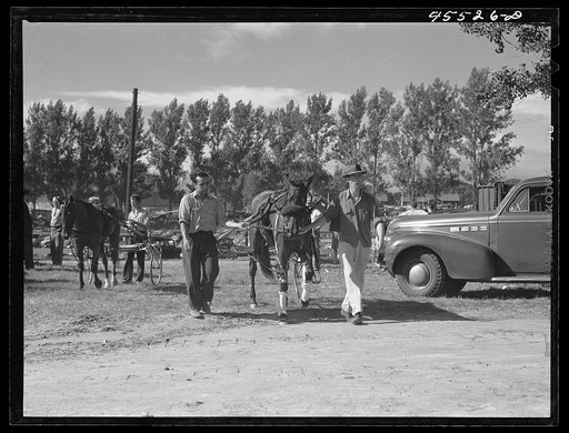 Untitled photo, possibly related to: At the sulky races at the Rutland Fair, Vermont