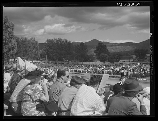 People in the grandstand watching the sulky races at the Rutland Fair, Vermont