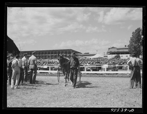 Untitled photo, possibly related to: At the sulky races at the Rutland Fair, Vermont