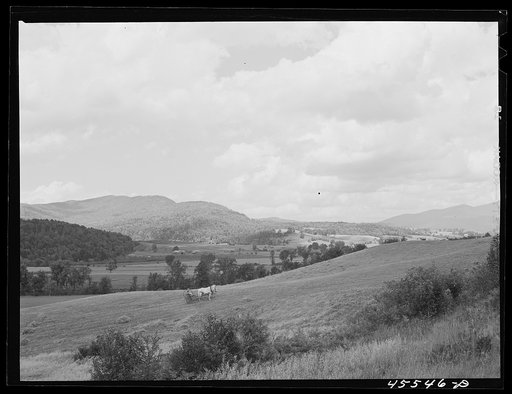 Untitled photo, possibly related to: Gathering hay in a field near Cambridge, Vermont