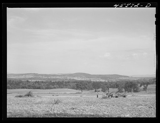 Loading corn on a farm near Sheldon, Vermont