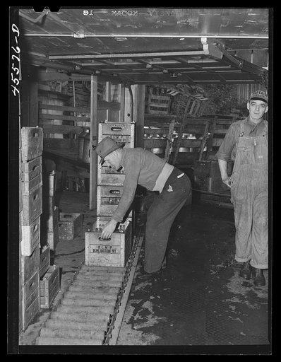 In the Burlington cooperative milk bottling plant. Burlington, Vermont