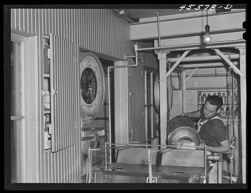 Weighing milk at the Burlington cooperative milk bottling plant. Burlington, Vermont