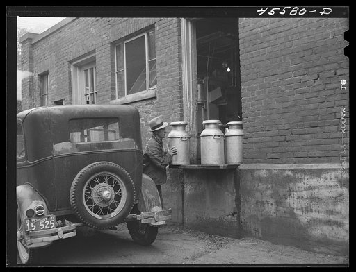 Farmer bringing in the milk at the Burlington cooperative milk bottling plant. Burlington
