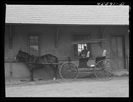 Untitled photo, possibly related to: Horse and buggy which is used for carrying mail at South Hero. Grand Isle County, Vermont