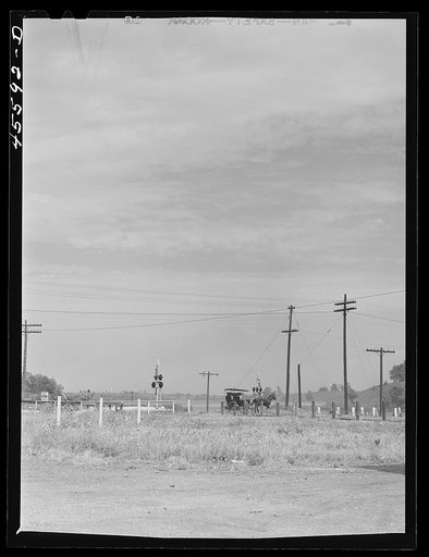 Untitled photo, possibly related to: Horse and buggy which is used for carrying mail at South Hero. Grand Isle County, Vermont