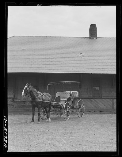 Horse and buggy which is used for carrying mail at South Hero. Grand Isle County, Vermont