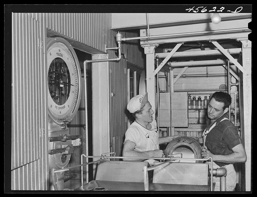 Weighing milk at the Burlington cooperative milk bottling plant. Burlington, Vermont