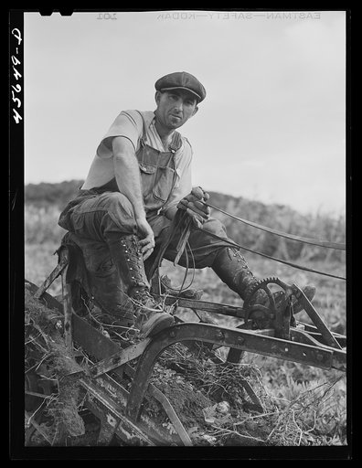 William Gaynor, FSA (Farm Security Administration) dairy farmer near Fairfield, Vermont