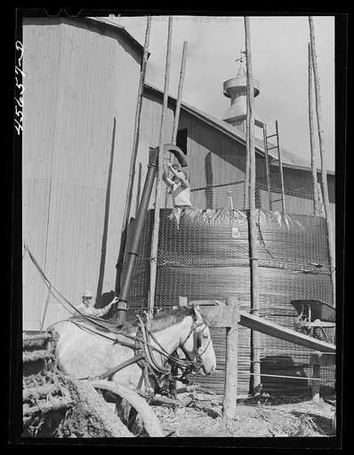 Untitled photo, possibly related to: Building a temporary silo near Saint Albans, Vermont