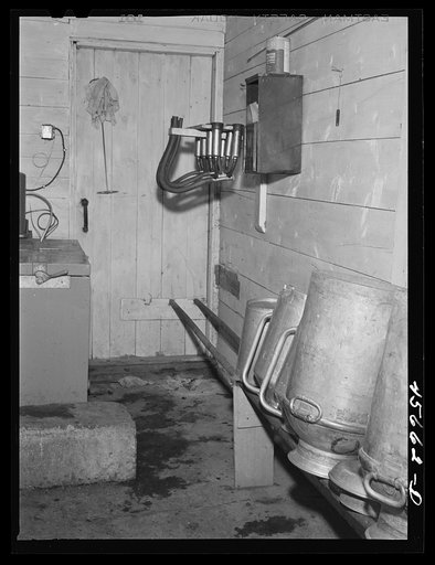 In the milk house on the Gaynor farm near Fairfield, Vermont