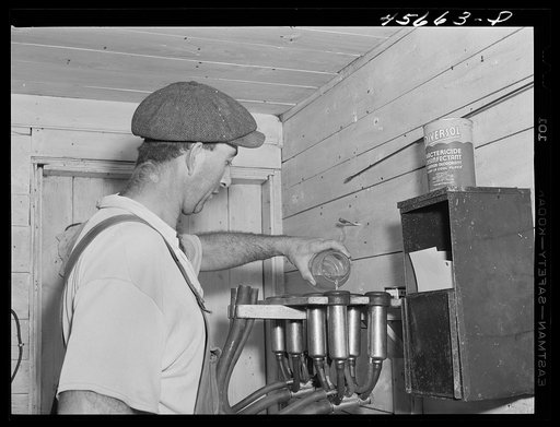 Mr. William Gaynor, FSA (Farm Security Administration) dairy farmer in his milk house on their farm near Fairfield, Vermont