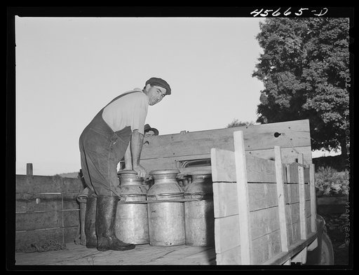 Mr. William Gaynor, FSA (Farm Security Administration) dairy farmer, loading milk on to his truck to take to the creamery early in the morning