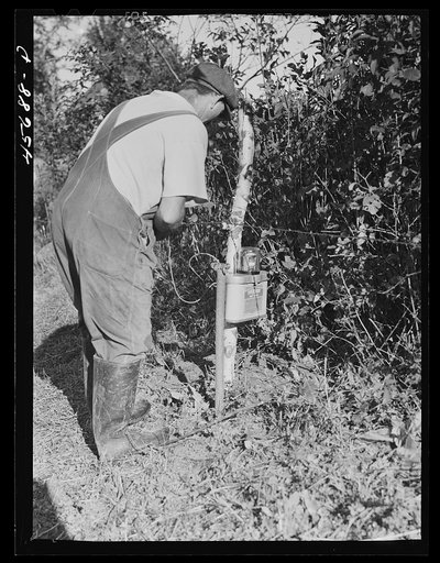 Untitled photo, possibly related to: Mr. William Gaynor connecting the electric fence on his farm near Fairfield, Vermont