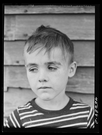 Untitled photo, possibly related to: One of the Gaynor children on their farm near Fairfield, Vermont