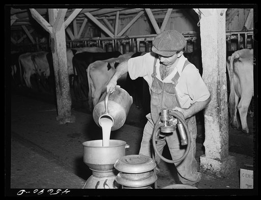 Mr. Gaynor uses two milking machines to help him milk twenty-four cows each day on his farm near Fairfield, Vermont