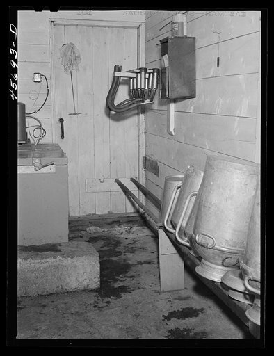 Untitled photo, possibly related to: In the milk house on the Gaynor farm near Fairfield, Vermont