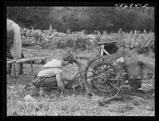 Untitled photo, possibly related to: William Gaynor, FSA (Farm Security Administration) dairy farmer near Fairfield, Vermont