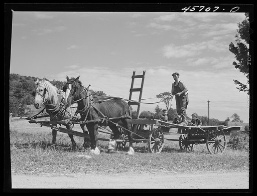 Mr. William Gaynor and some of the children taking the wagon out to gather corn for the cows on their farm near Fairfield, Vermont