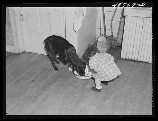 Untitled photo, possibly related to: "Sister" reaching for some doughnuts at the Gaynor home near Fairfield, Vermont